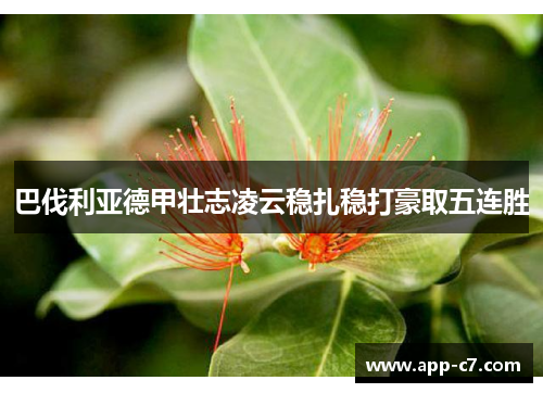 巴伐利亚德甲壮志凌云稳扎稳打豪取五连胜